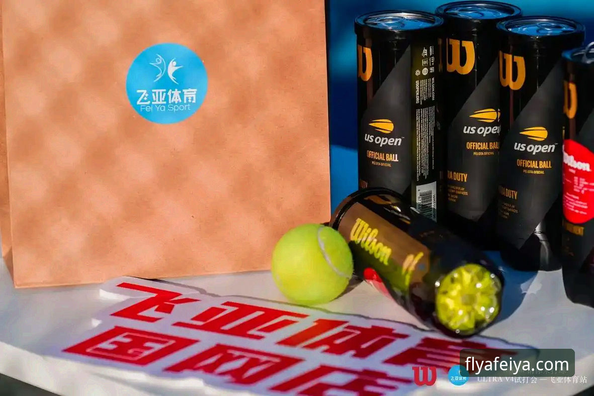 飞亚体育平台稳定通道使用指南：安全直达官网的完整攻略